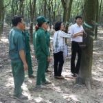 Thi đua sôi nổi nhờ lương thưởng cao