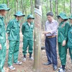 Cao su Đồng Phú: đơn vị điển hình trong Câu lạc bộ 2 tấn
