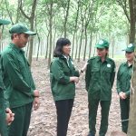 Cao su Dầu Tiếng: Giữ vững mục tiêu công nhân giàu - công ty mạnh