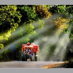 Cao su tình đất, tình người