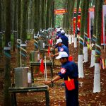 Điểm mới trong bộ đề thi lý thuyết Hội thi thợ giỏi thu hoạch mủ năm 2014