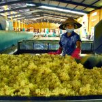 Hội nghị công nghiệp sẽ tổ chức vào tháng 7