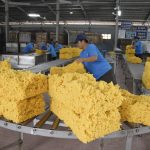 Tăng cường rà soát, cắt giảm tối đa các chi phí