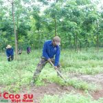 Tập huấn bảo vệ thực vật tại Campuchia
