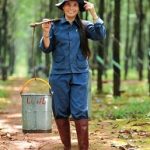 Phát động thi đua chào mừng  ngày thành lập Hội Liên hiệp Phụ nữ VN