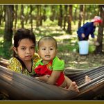 Vườn cao su tuổi thơ
