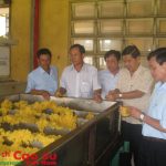 Gian nan xây dựng thị trường ổn định