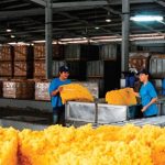 Mừng, nhưng chưa hết lo