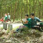 117 gia đình sẽ được tuyên dương tại Lễ kỷ niệm 85 năm