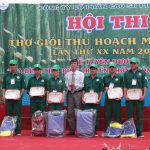 Tay nghề thợ giỏi Phước Hòa tăng cao