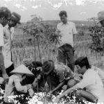 Lịch sử 85 năm nhìn lại