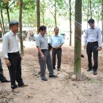Sẽ có 2 giải nhất cá nhân nếu bằng điểm