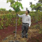 Tận tâm với công việc