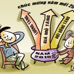 Xuân này con không về