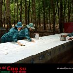 Đảm bảo hiệu quả bền vững