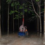 Trắng đêm phun thuốc trị bệnh phấn trắng