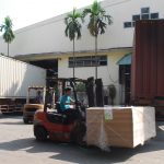Tập trung nâng cao chất lượng, năng suất và sản lượng vườn cây