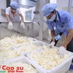VRG cần xem thị trường là chiến lược phát triển