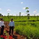 Thực hiện quyết liệt kế hoạch 2015