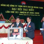 Diện tích khai thác Cao su Mang Yang đến 2020 đạt 21.186 ha