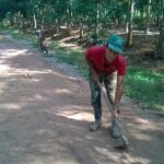 Người công nhân chăm chỉ sửa đường