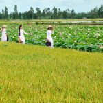 Đất nước 40 năm