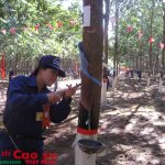 Thợ giỏi cao su Chư Păh: Viết nên trang sử vàng