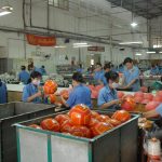 Geru Star tăng trưởng bình quân 11%/năm