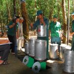 Người Đảng viên trẻ trưởng thành từ phong trào thanh niên công nhân