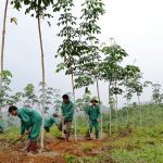 Chủ trương giảm 30% suất đầu tư