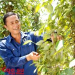 Giảm khó từ kinh tế phụ