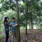 Báo chí cùng cây cao su về vùng đất mới