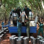 Nông trường III (Cao su Lộc Ninh): 7 năm liên tục nhận cờ thi đua
