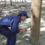 Nắng hạn kéo dài, khai thác chậm tiến độ