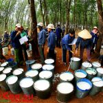 Vàng trắng tinh khôi