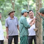 Cao su Hà Tĩnh phát huy mọi nguồn lực, vượt khó vươn lên
