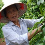 Vững một niềm tin
