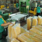 Kiến nghị chưa chuyển đổi mô hình Tập đoàn