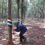 Học để thoát nghèo