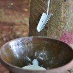 Tâm sự kiềng, chén, máng