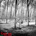 Xin mưa