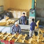 8 công ty Tây Nguyên: Nhạy bén, linh hoạt trong điều hành