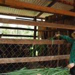 Kinh tế hộ gia đình: Điểm tựa vững chắc lúc khó khăn