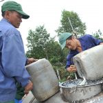 Các đơn vị miền Trung: Sản lượng vượt, trồng mới, tái canh chậm