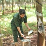 Không đi theo vết xe đổ