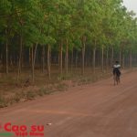 5 dự án đầu tư ra nước ngoài phải có xác nhận địa điểm