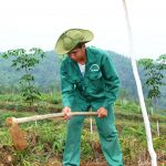 Lãnh đạo tỉnh Lai Châu, Hà Giang và Yên Bái cam kết tiếp tục tạo điều kiện phát triển cao su
