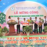 Cao su Phú Riềng hoàn thành khai thác 23.500 tấn mủ, về đích trước 34 ngày