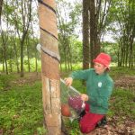Nữ công nhân đa tài