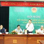 Cần đồng bộ hóa các giải pháp để nâng tầm thương hiệu Cao su VN